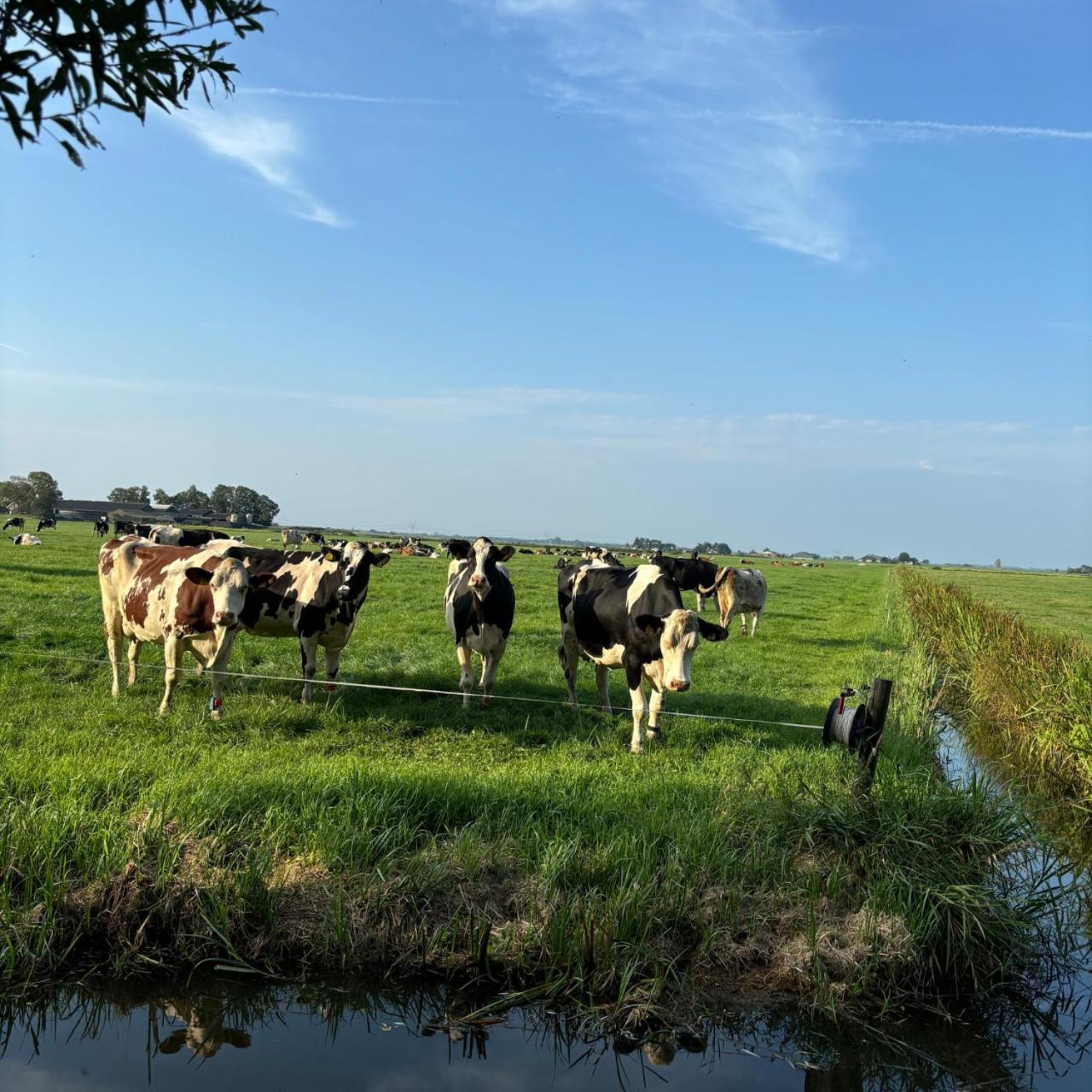 Aan De Hoge Weg Bed and Breakfast Kamperveen Buitenkant foto